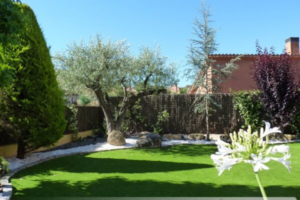 106.-Sta-agnes-7_preview-1024x768 106.-Sta-agnes-7_preview-1024x768