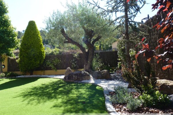 disseny-santa-agnes6 disseny-santa-agnes6